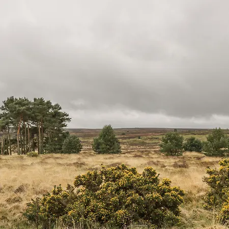 Сasa de vacaciones The Calf House